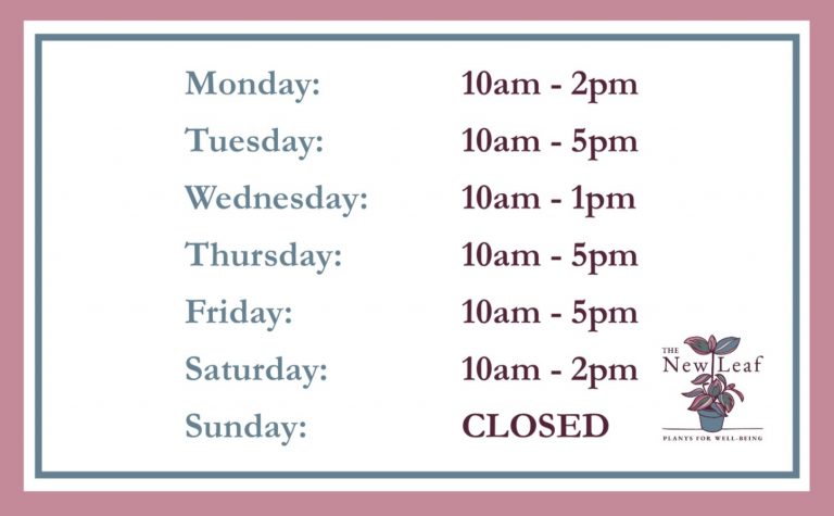 A list of the shop's opening hours.